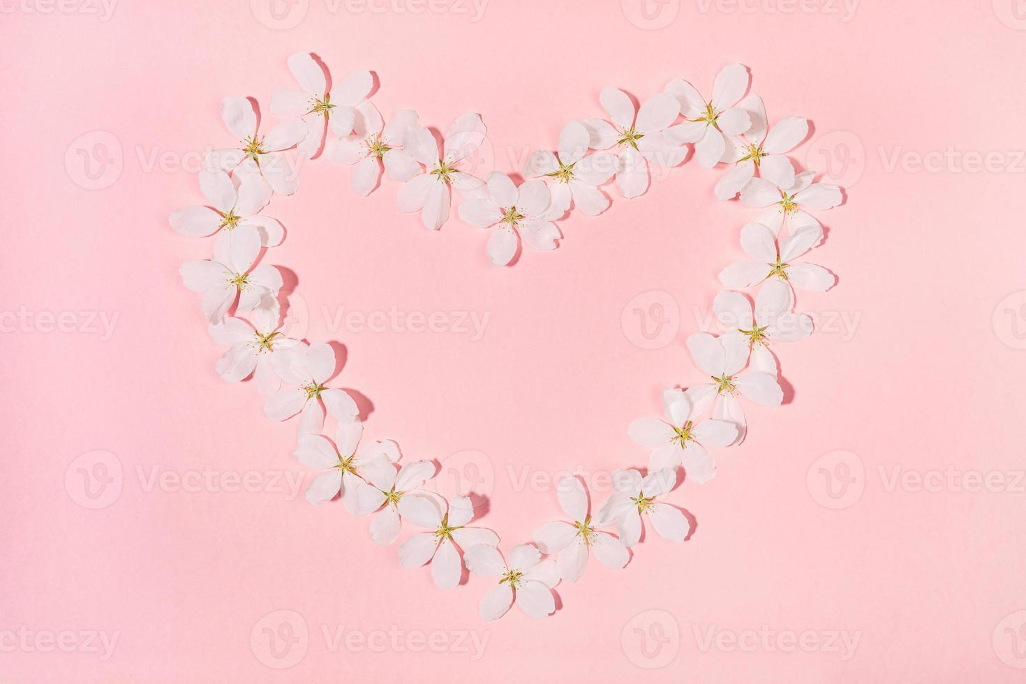 Shape heart laid out from flowers of white apple tree on pink backdrop. Floral composition. photo