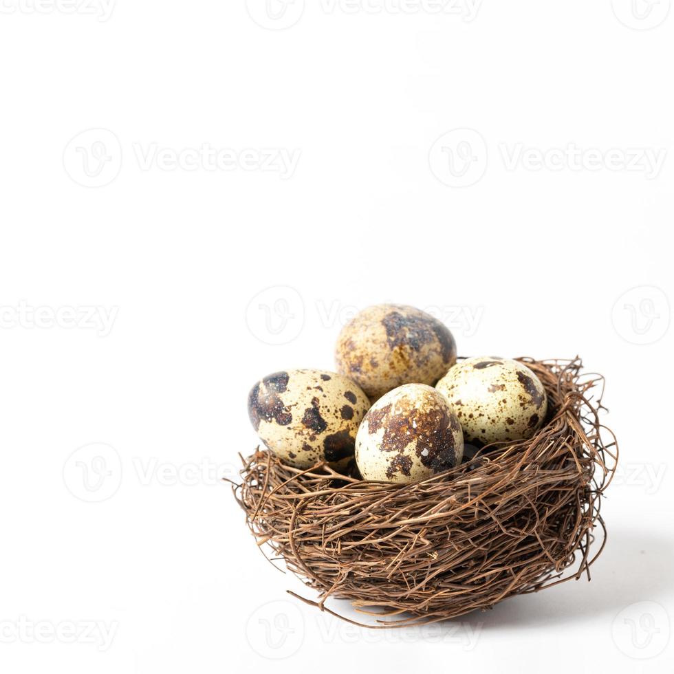 huevos de codorniz en el nido de cerca sobre fondo blanco. tarjeta cuadrada de Pascua. imagen mínima. copie el espacio. foto