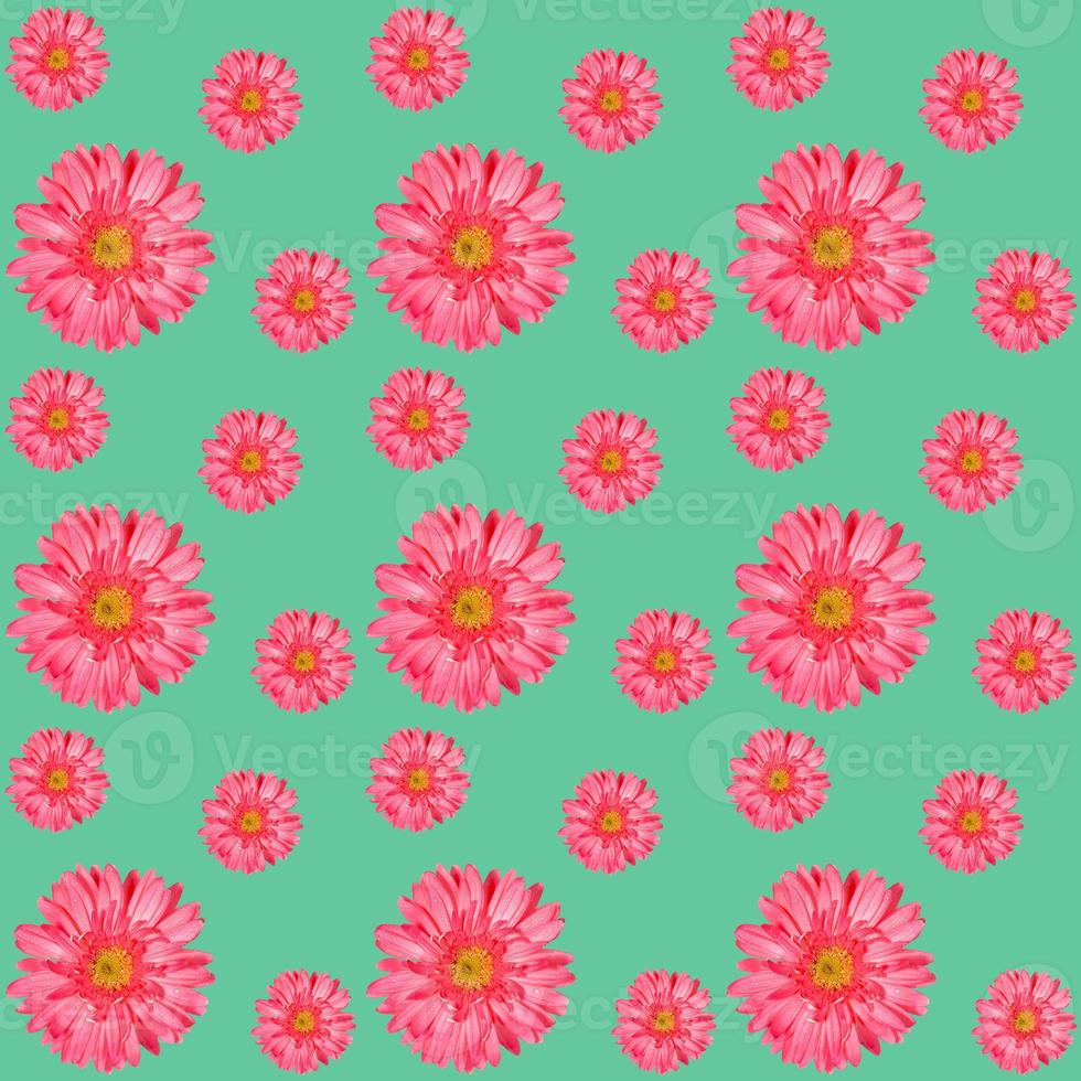 Seamless pattern with pink gerbera flowers of different sizes on turquoise. Festive floral square background. photo