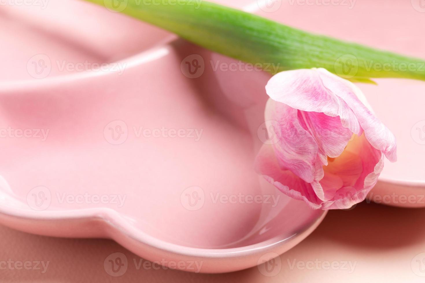 Close up empty pink plate in form of heart with pink tulip on pastel pink background. Copy space. photo