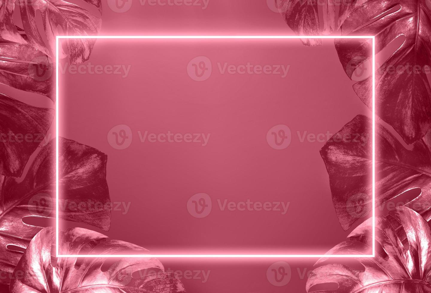 Tropical monstera leaves and neon luminous frame in color of 2023 Viva Magenta Top view, copy space photo