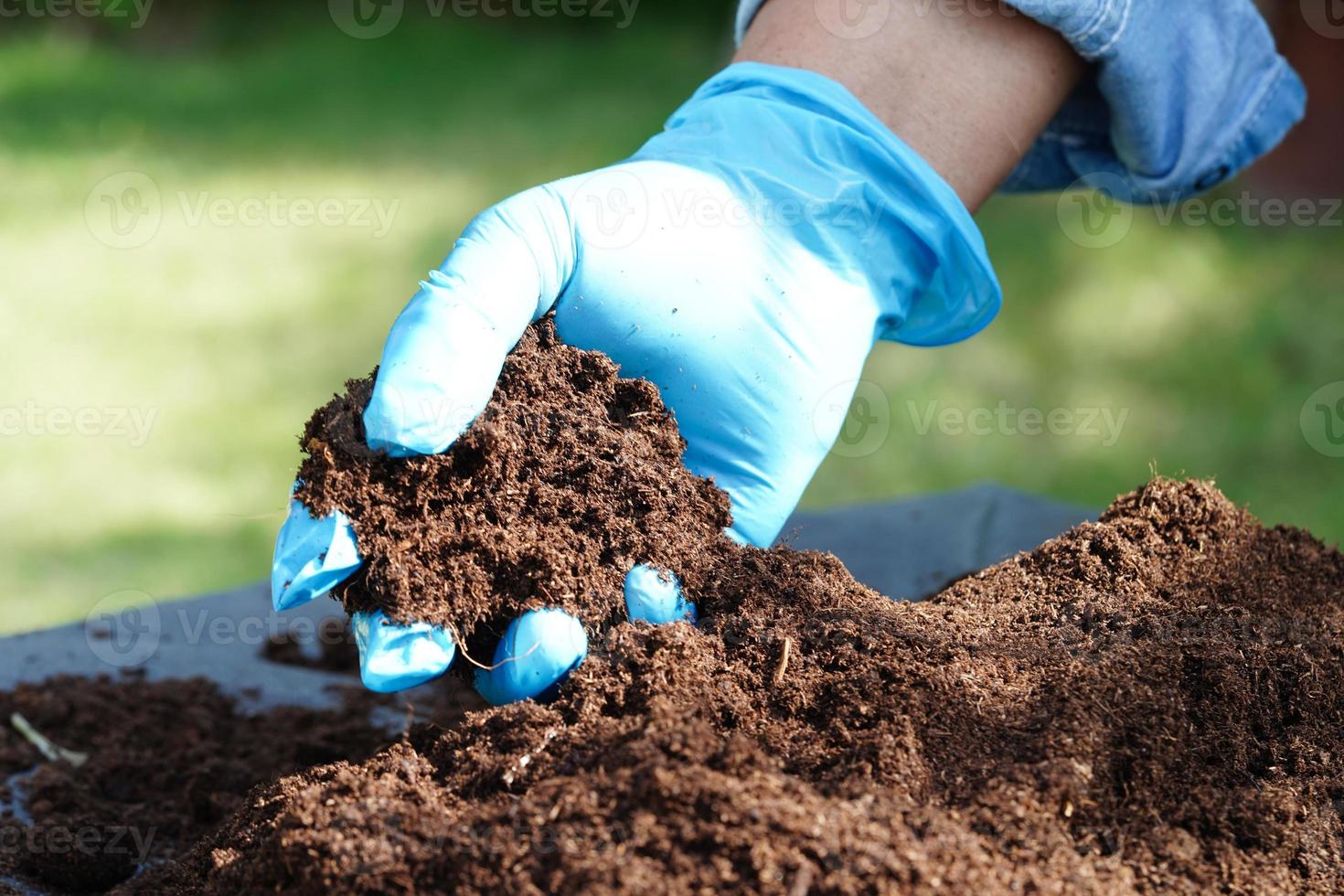 musgo de turba, suelo fertilizante para agricultura orgánica, cultivo de plantas, concepto ecológico. foto