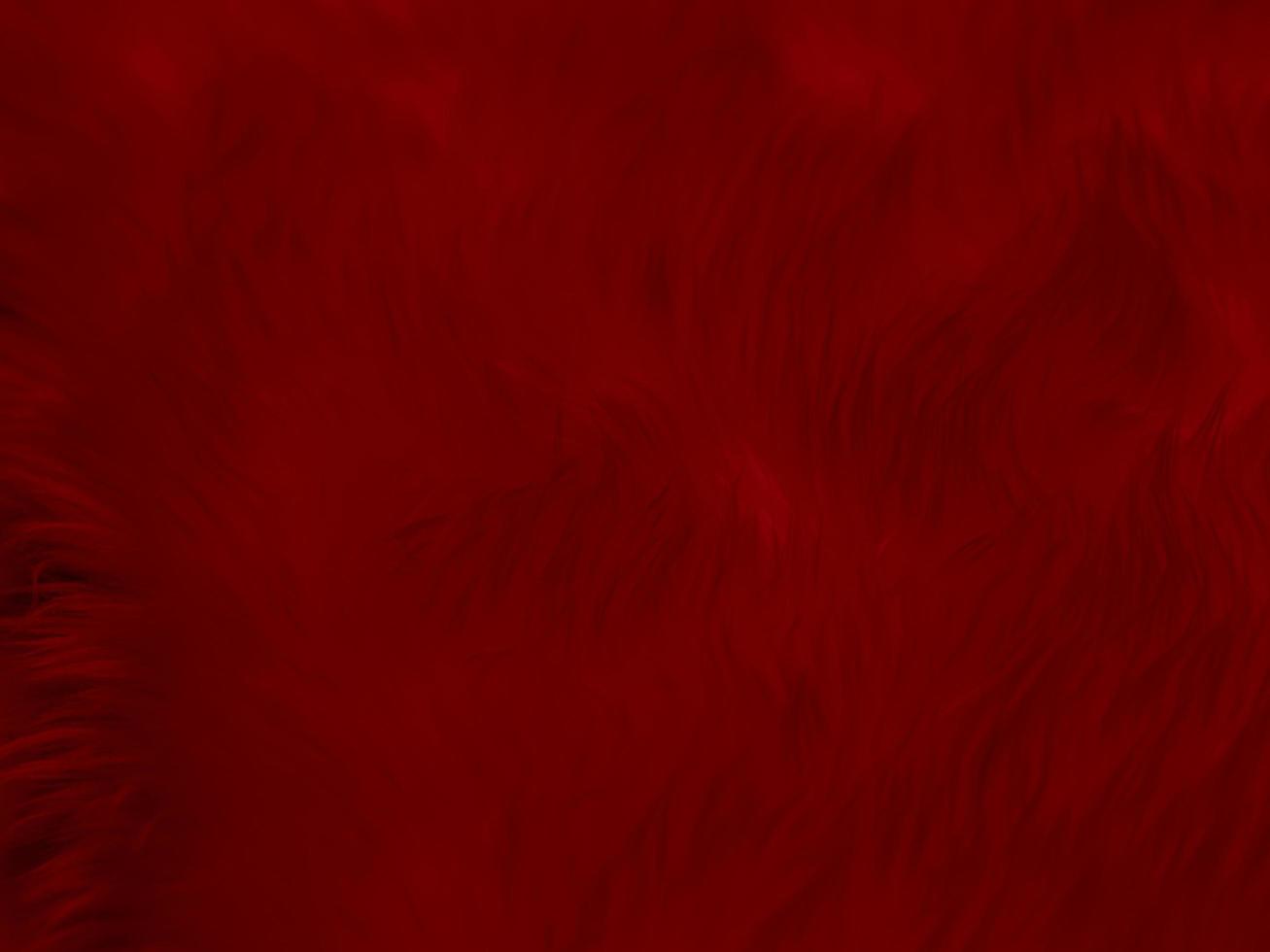 red clean wool texture background. light natural sheep wool.red seamless cotton. texture of fluffy fur for designers. close-up fragment white wool carpet.. photo