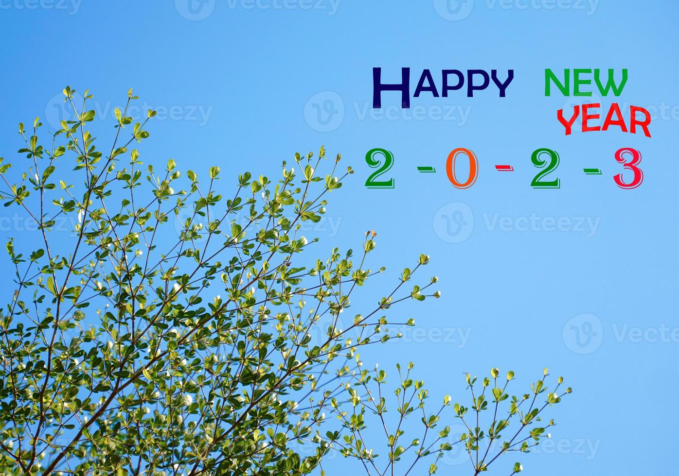 New Year's card 2023 is a bush of green leaves on a blue sky background. soft and selective focus. photo