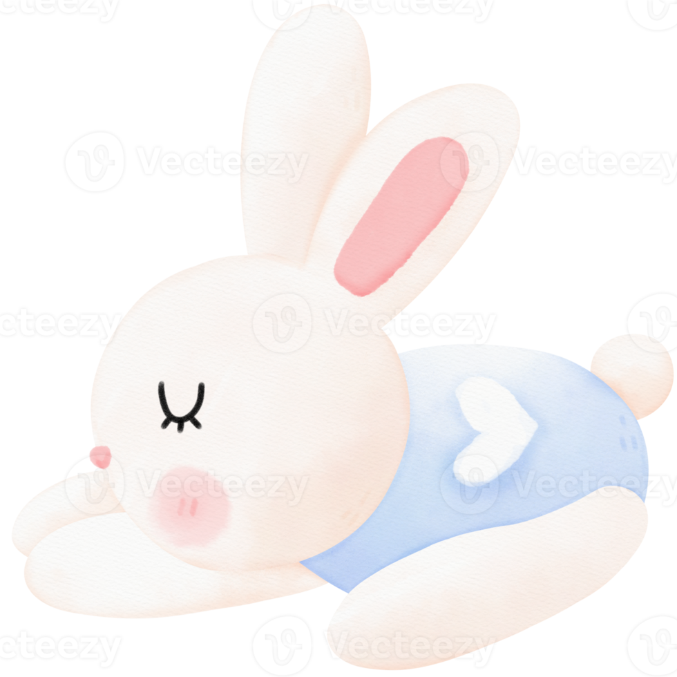sömnig kanin vattenfärg illustration png
