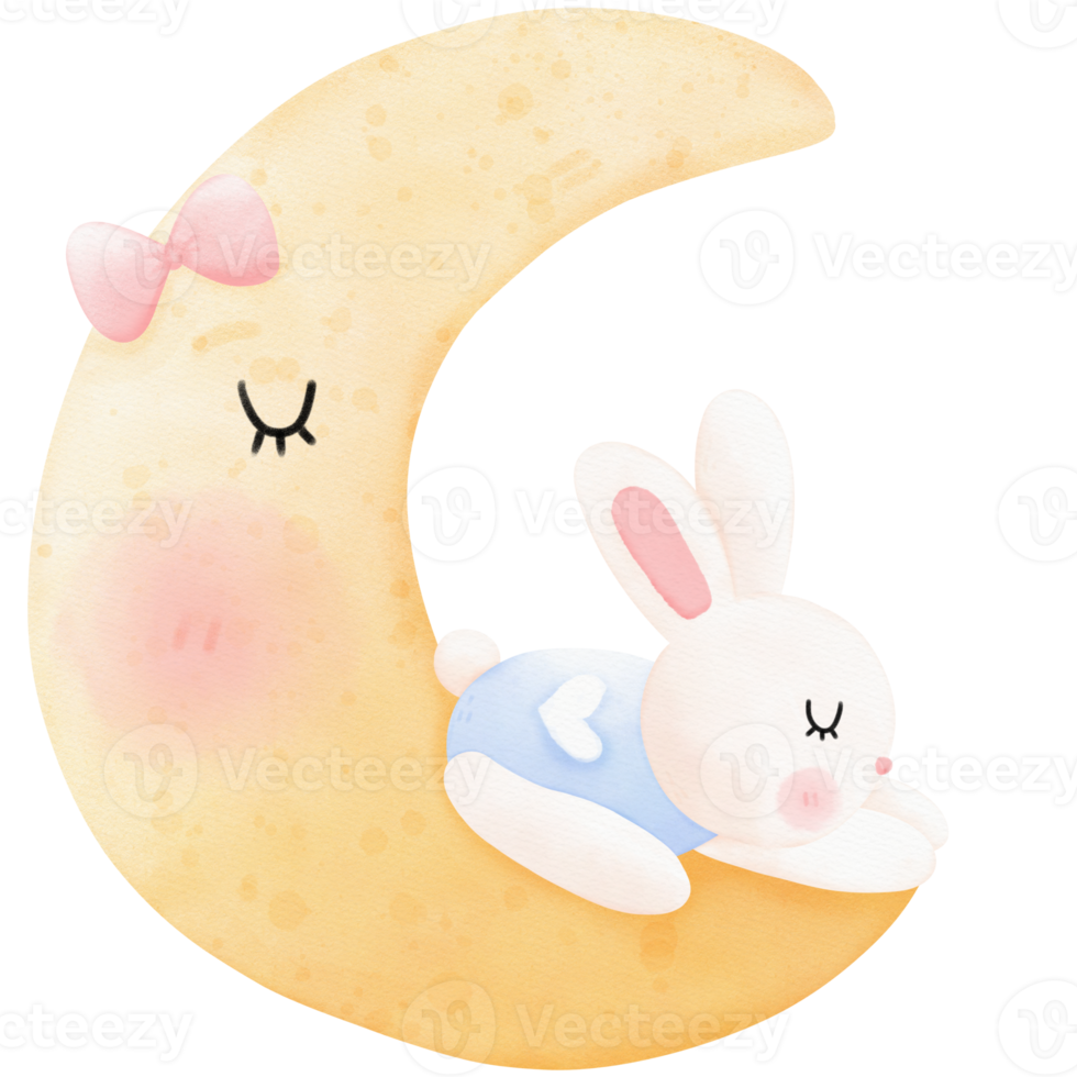 Sleeping bunny and moon png