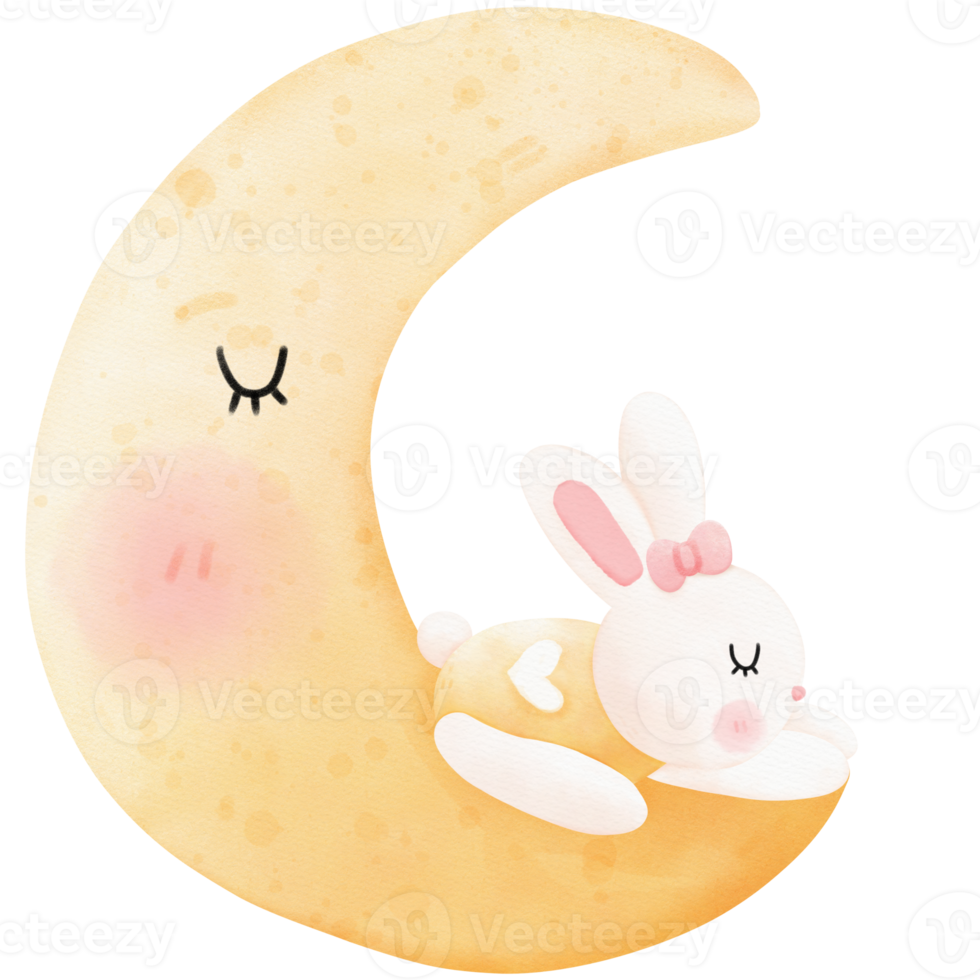 Sleeping bunny and moon png