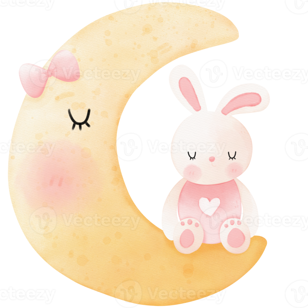 Sleeping bunny and moon png