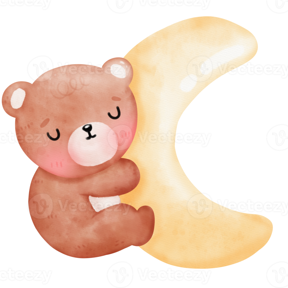 Cute bear and moon png