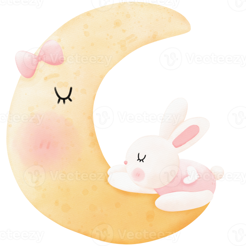 Sleeping bunny and moon png