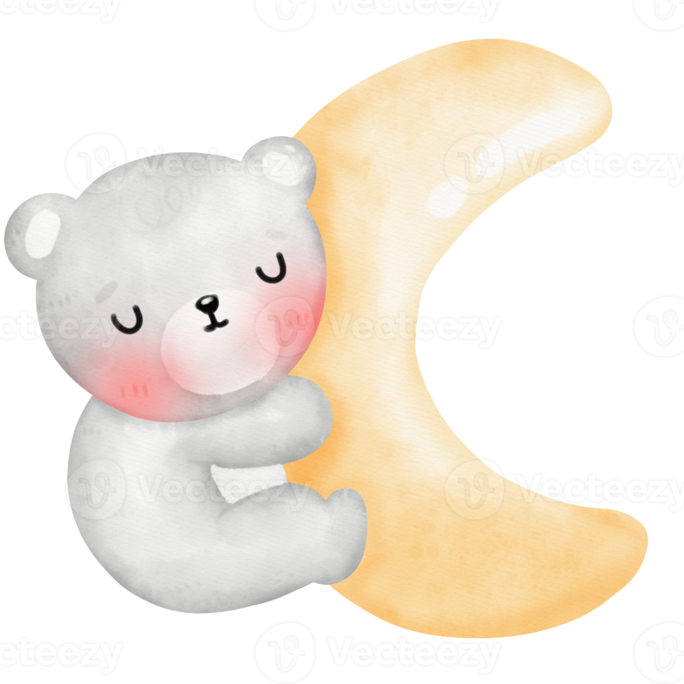 Cute bear and moon png