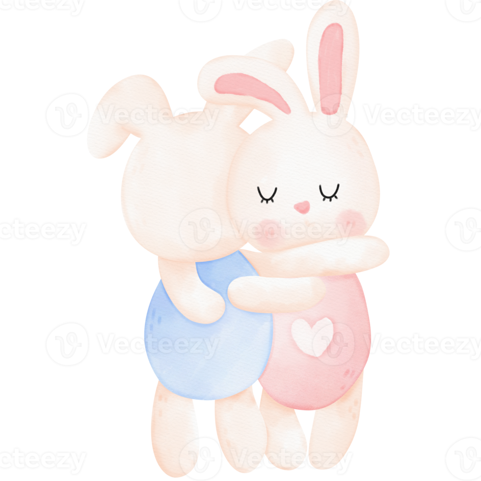 Bunny couple hugging png