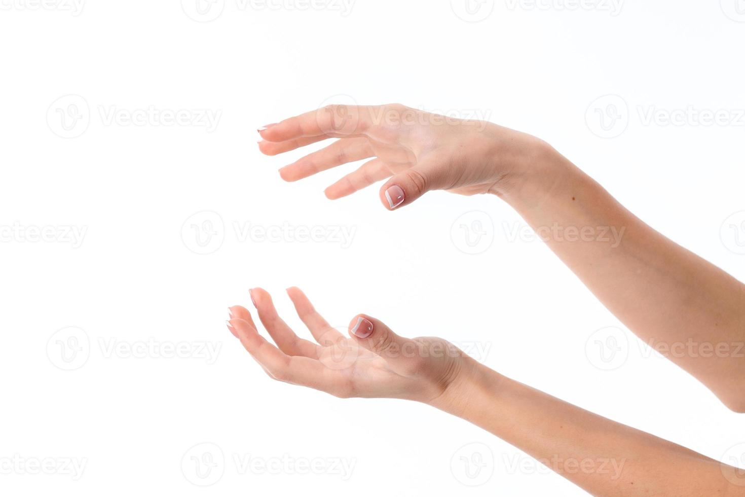 two female hands posed one opposite the other isolated on white background photo