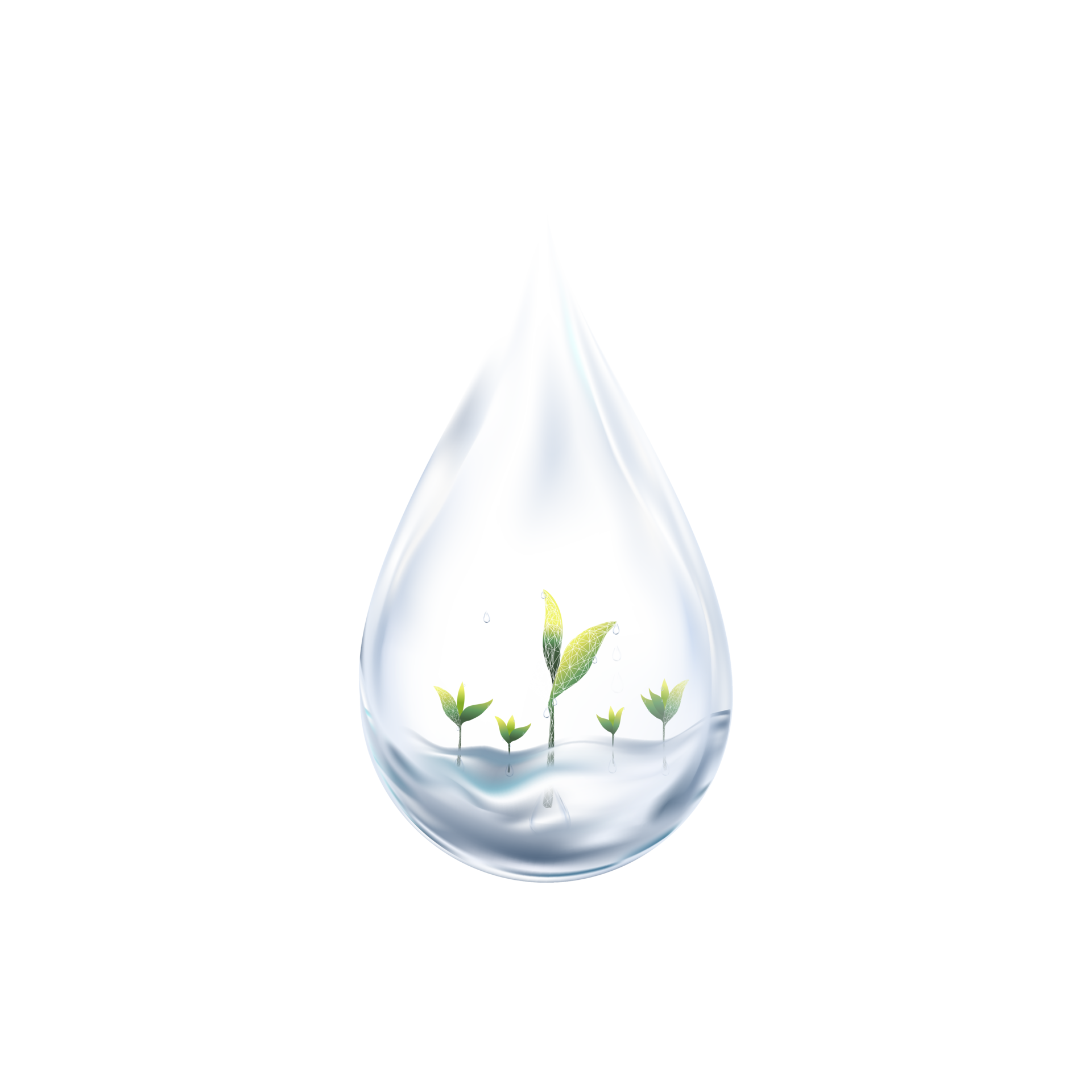3D Water drop with growing plant under clean water on transparent 3D Water drop with growing plant under clean water on transparent
