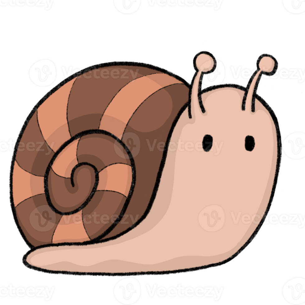 Snail - Cartoon pencil draw style of animal and plant in the garden pencil draw png