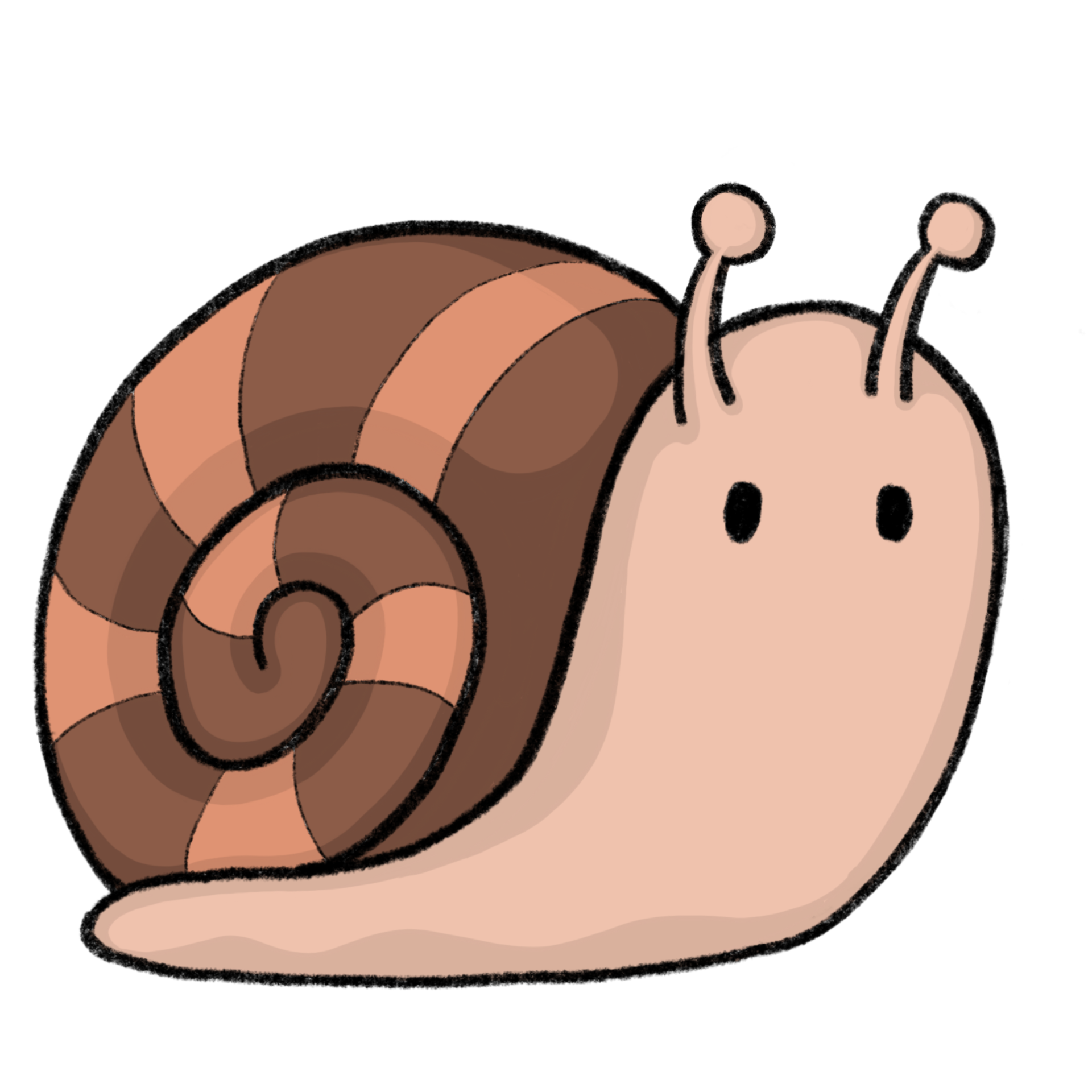 Free Snail - Cartoon pencil draw style of animal and plant in the garden  pencil draw 16398062 PNG with Transparent Background