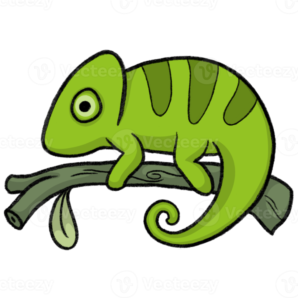 Chameleon - Cartoon pencil draw style of animal and plant in the garden pencil draw png