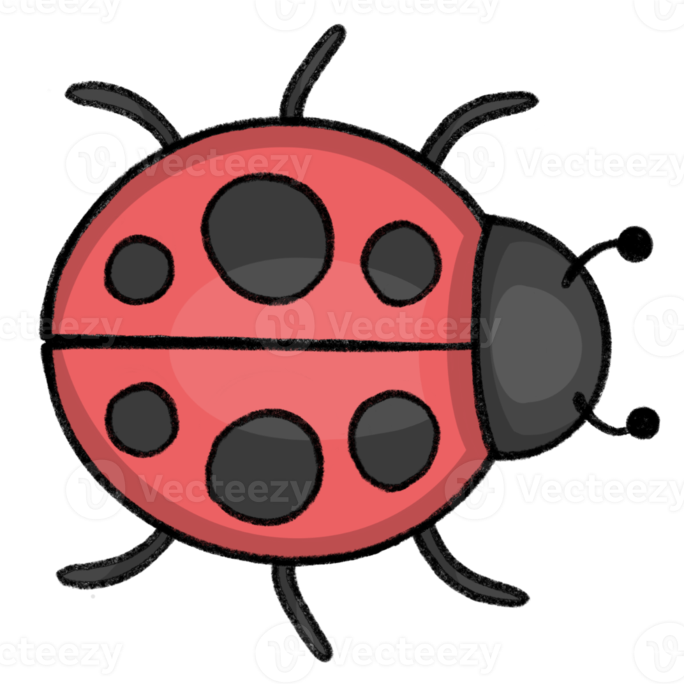 coccinelle - style de dessin au crayon de dessin animé d'animaux et de plantes dans le dessin au crayon de jardin png