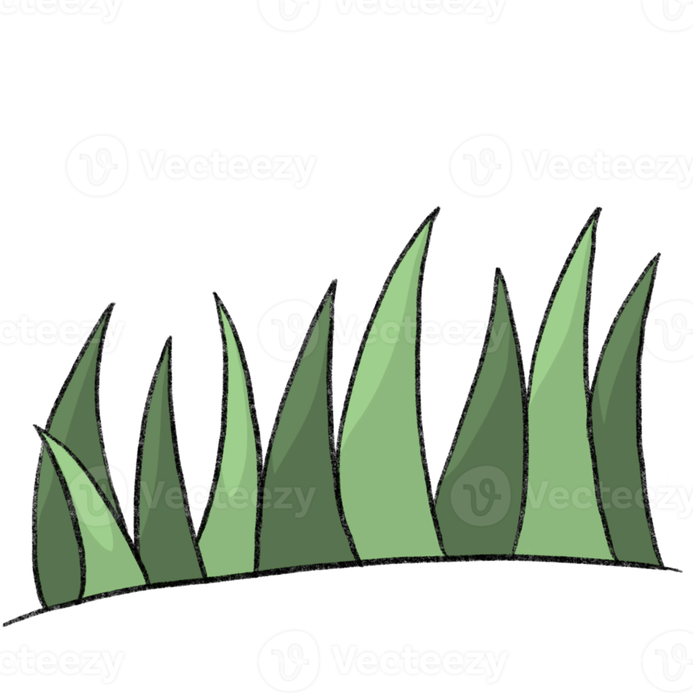 Small plant - Cartoon pencil draw style of animal and plant in the garden pencil draw png