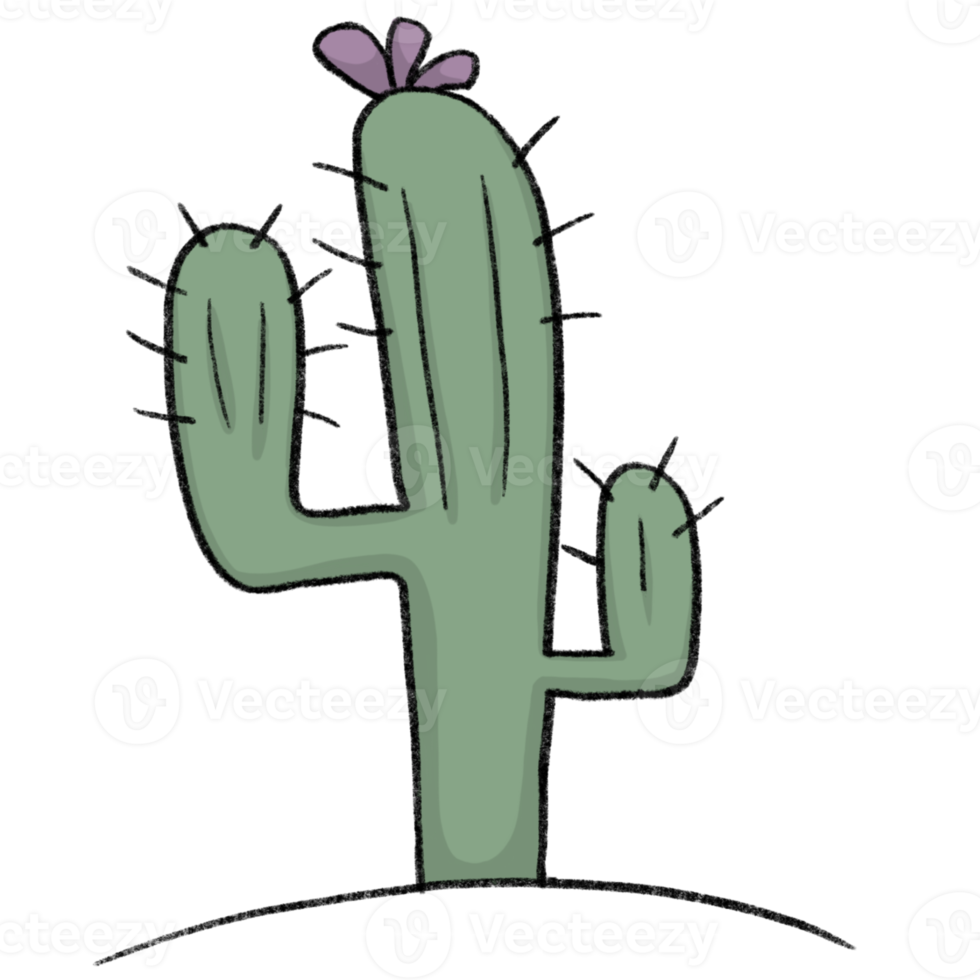 cactus - style de dessin au crayon de dessin animé d'animaux et de plantes dans le jardin dessin au crayon png