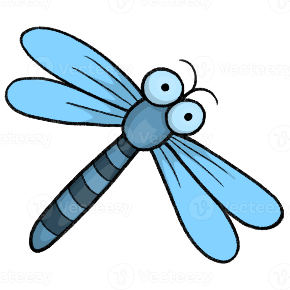 Dragonfly - Cartoon pencil draw style of animal and plant in the garden pencil draw png