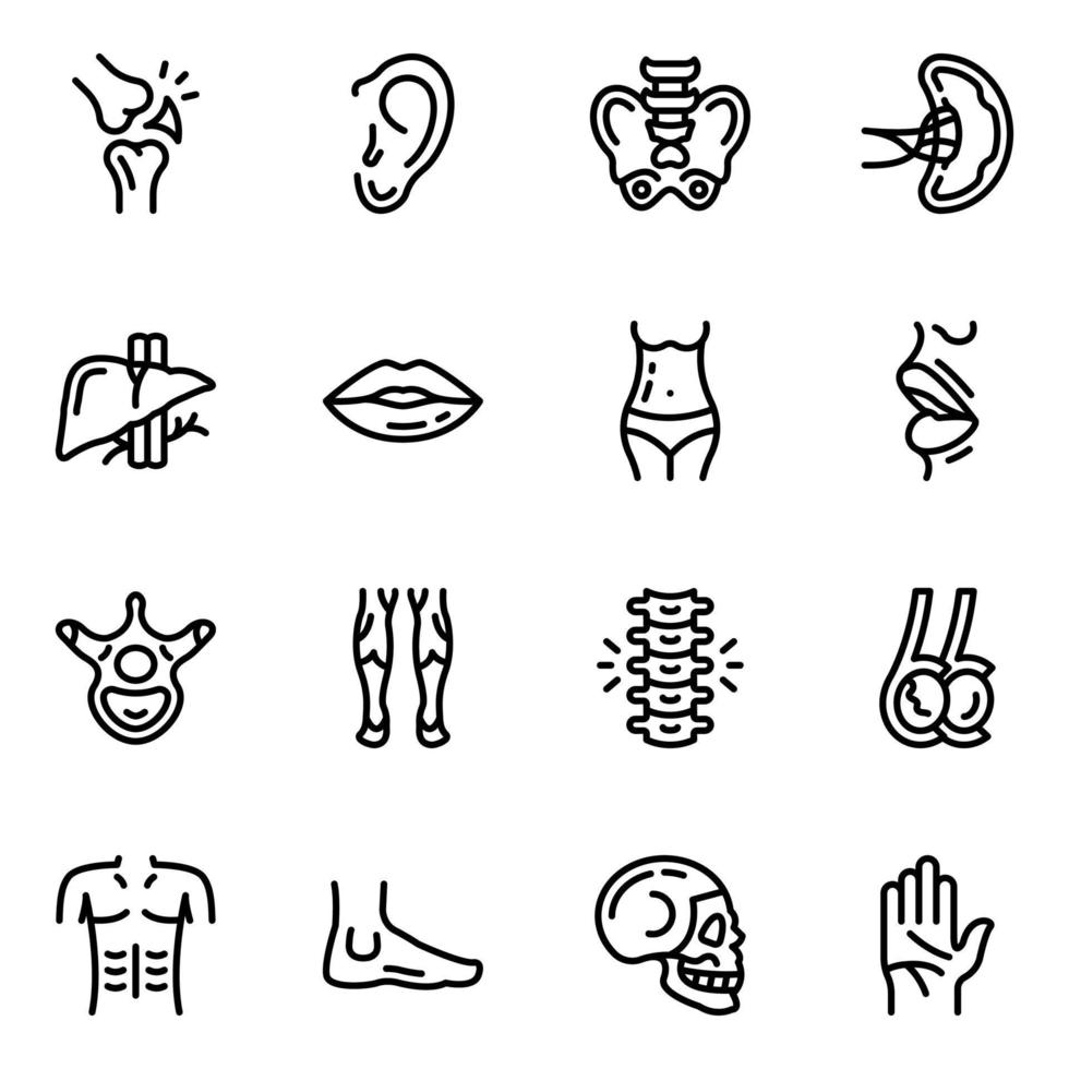 paquete de iconos de línea de órganos del cuerpo vector