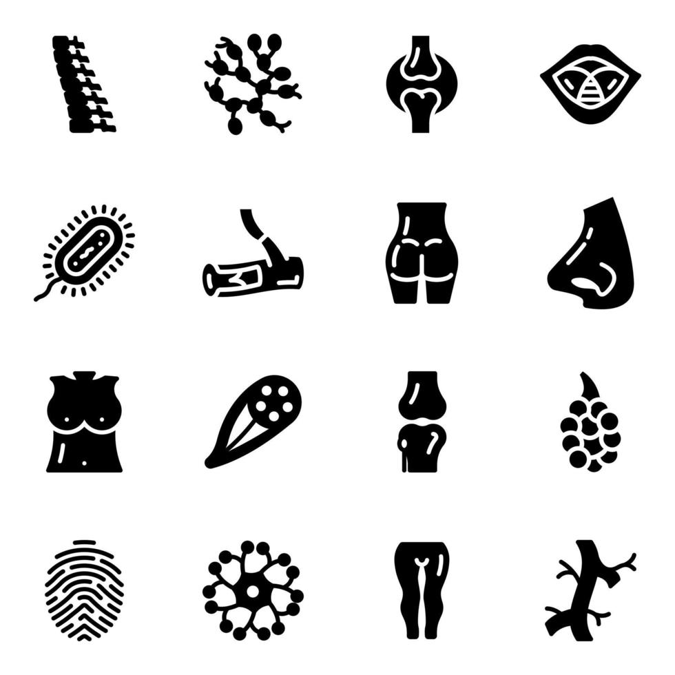 Internal Organs Line Icons Pack vector