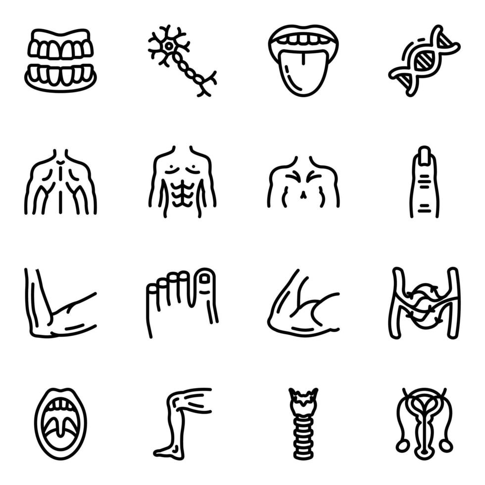 Body Anatomy Line Icons Pack vector