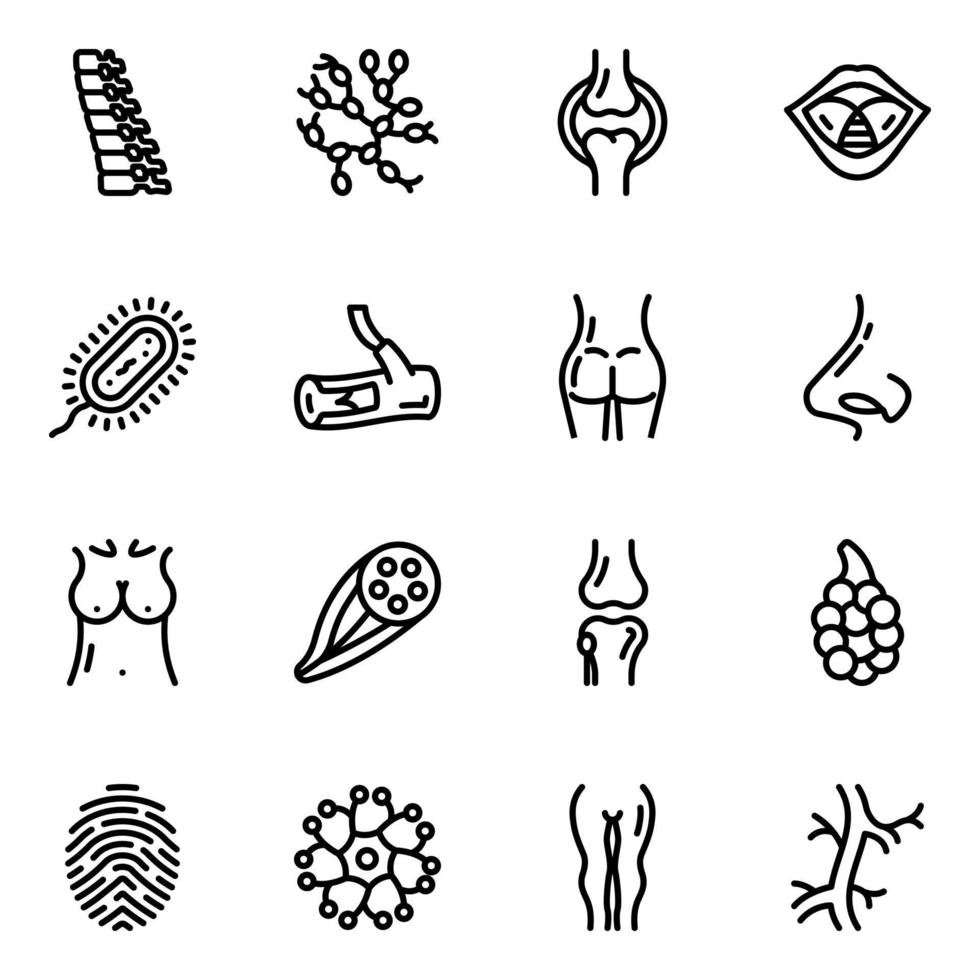 Internal Organs Line Icons Pack vector