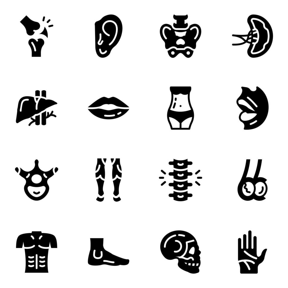 paquete de iconos de línea de órganos del cuerpo vector