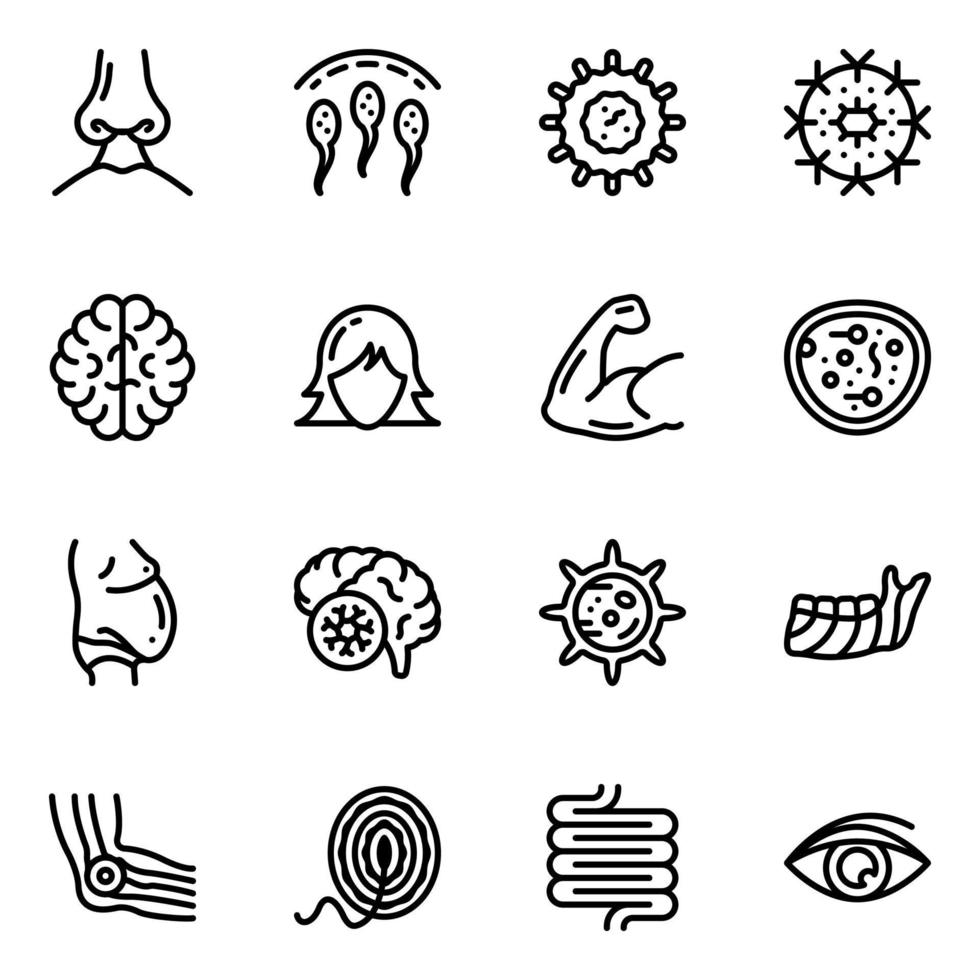 Pack of Organs Line Icons vector