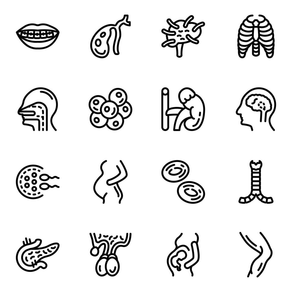 Tissues and Organs Line Icons Pack vector