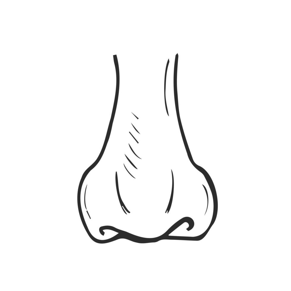 Doodle icono de vector de nariz humana sobre fondo blanco. signo de eps de olor a nariz.