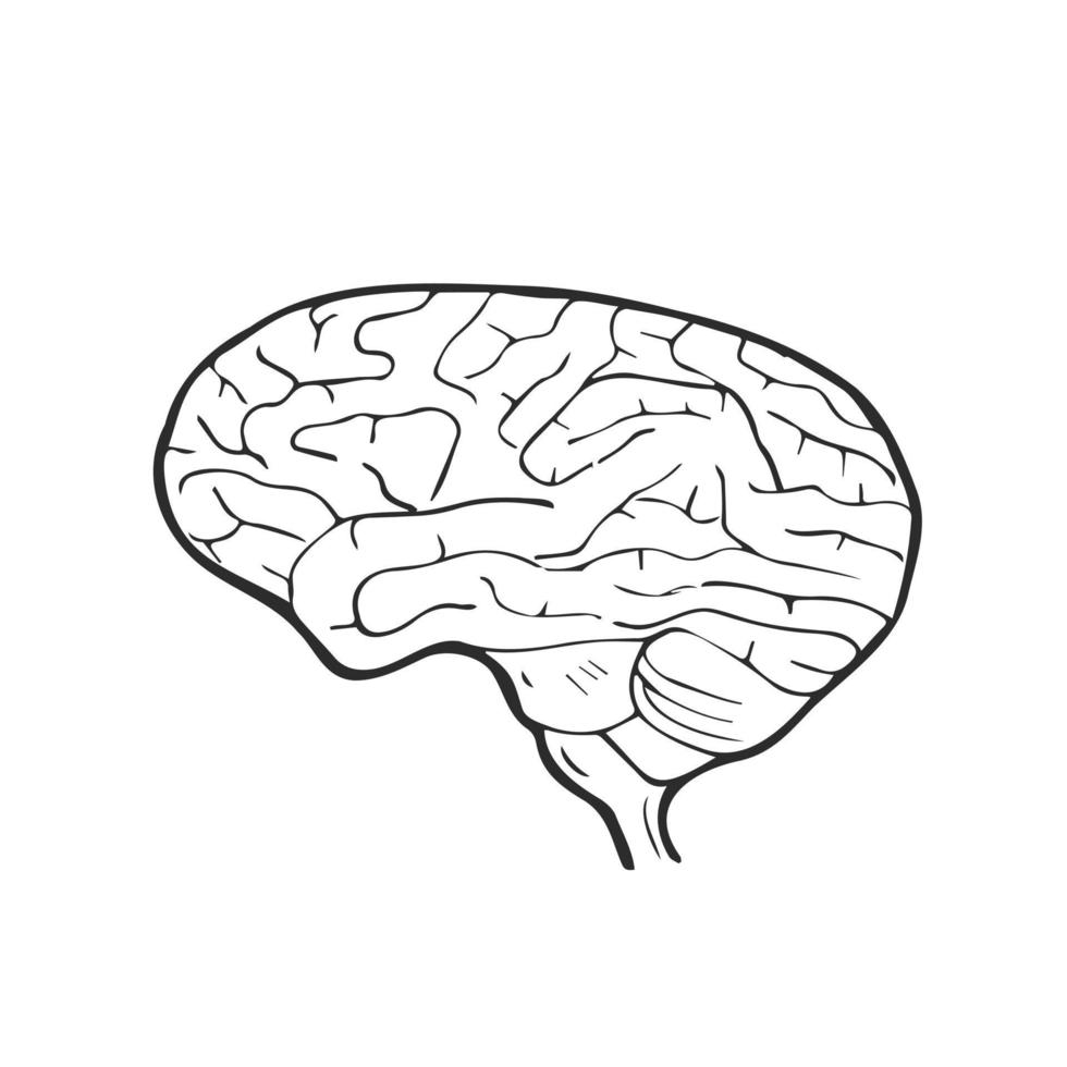 icono de cerebro de garabato con fondo aislado de vector de estilo dibujado a mano