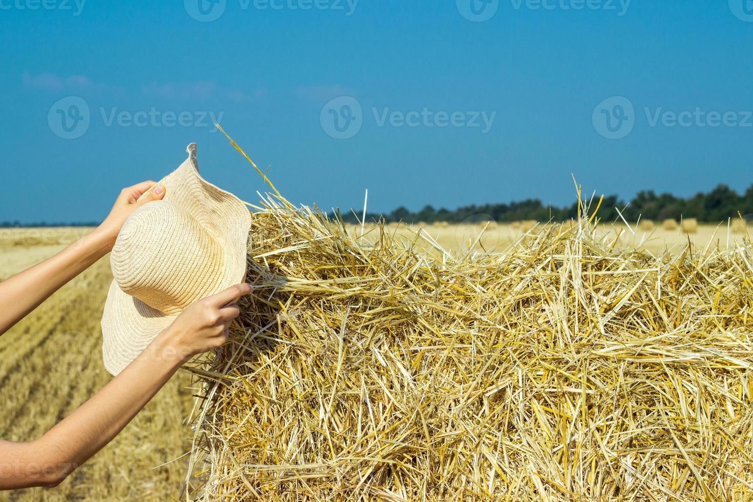 sombrero de trabajo de un granjero en un pajar. concepto de agricultura concepto de cosecha foto