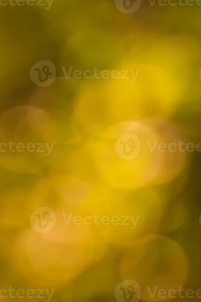 Yellow bokeh abstract photo