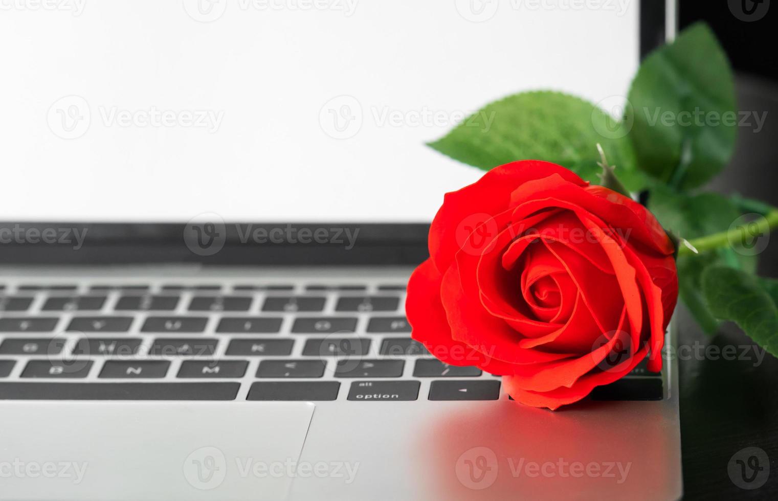 rosa roja y la computadora portátil en cubierta foto