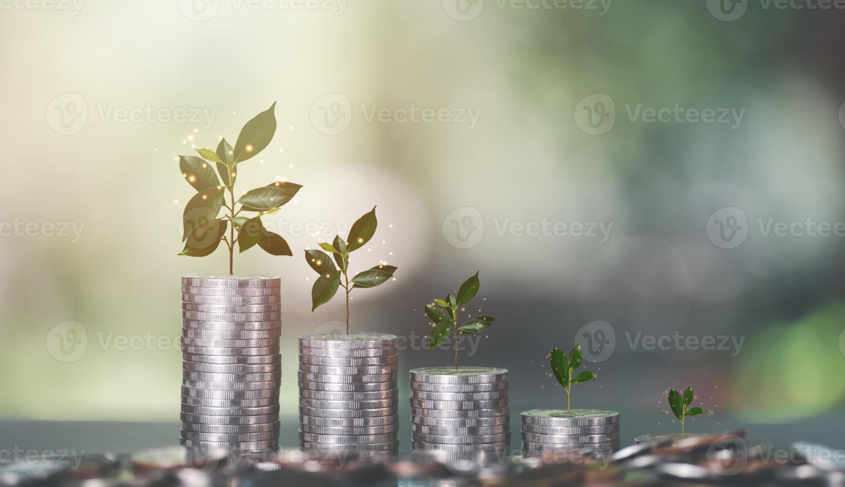 Stacks of coins lined up on the table,tree showing growth,concept of saving money and increasing interest and profit,Signs or trends in investment wealth,retirement planning photo