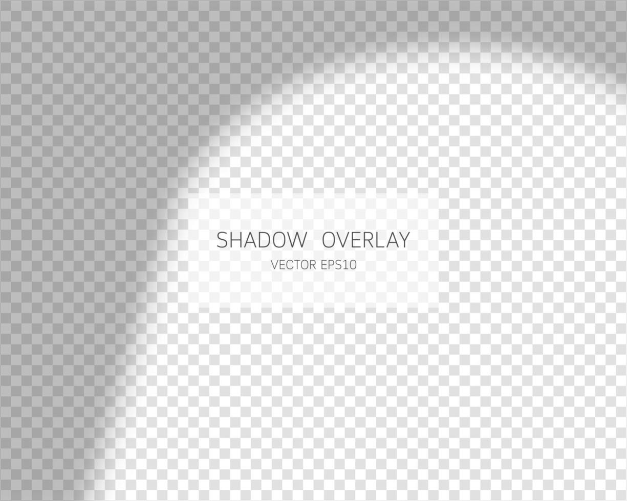 Shadow overlay effect. Natural shadows from window isolated on transparent background. Vector illustration.