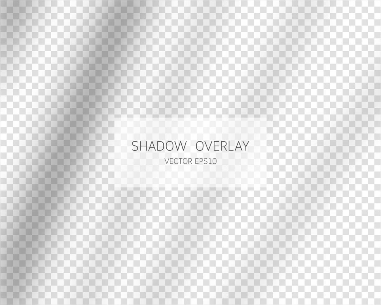 Shadow overlay effect. Natural shadows from window isolated on transparent background. Vector illustration.