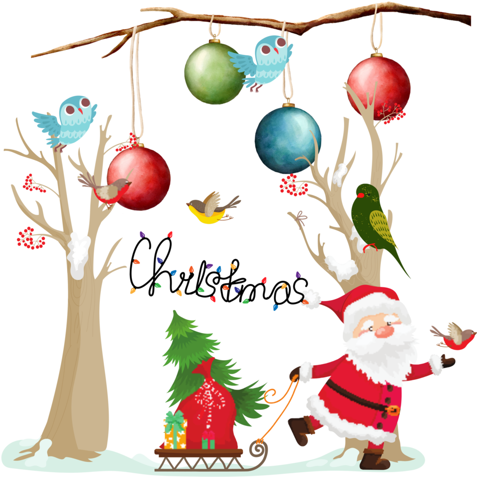 Merry Christmas Birds Lighting png