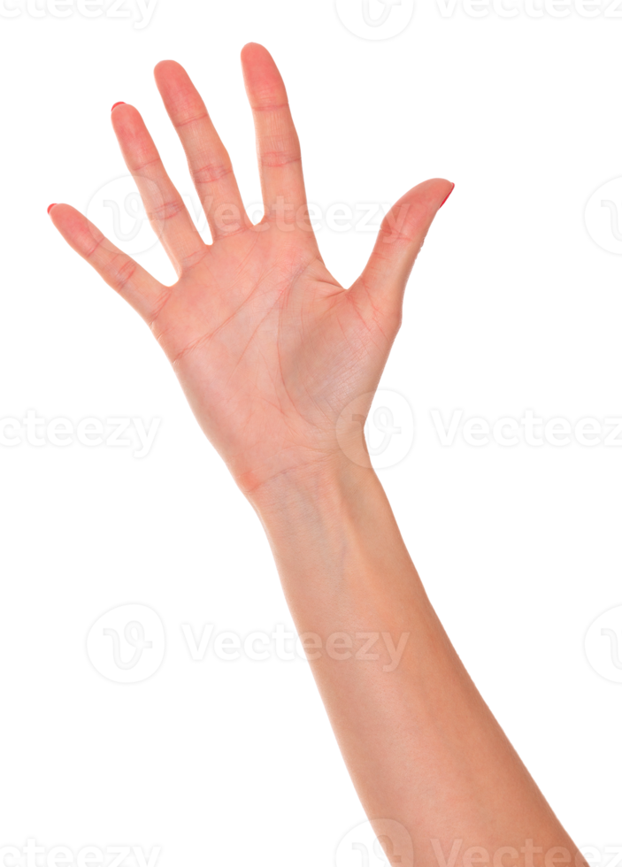 vrouw hand- geïsoleerd png