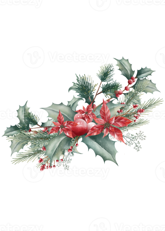 Watercolor Christmas bouquet png