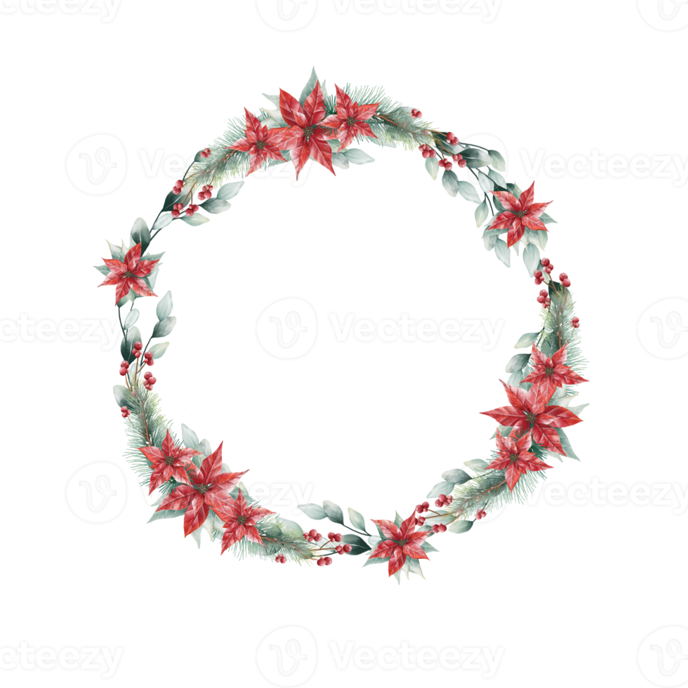 cadre floral de noël aquarelle ou couronne florale d'hiver composée de fleurs png