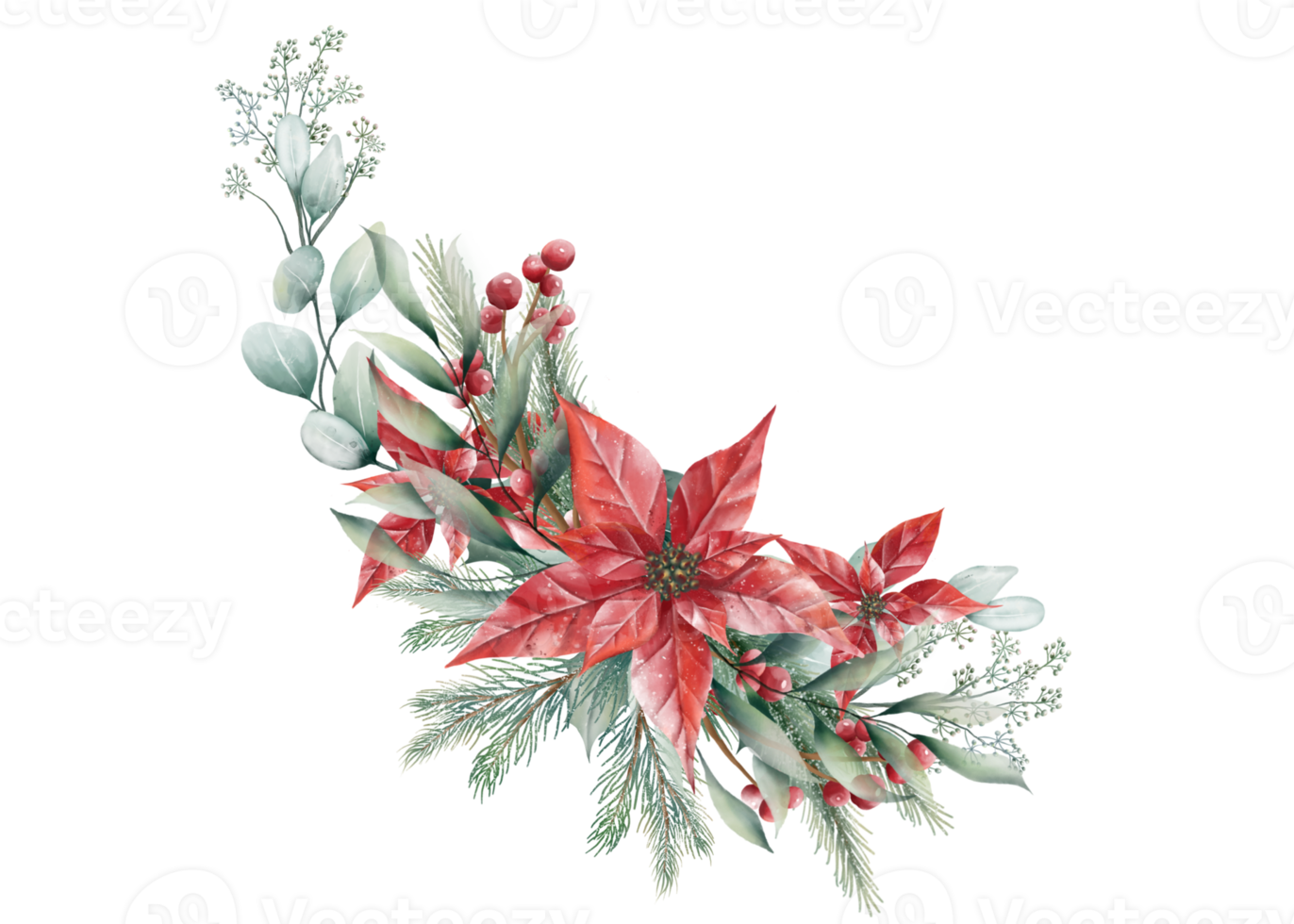 Watercolor Christmas bouquet png