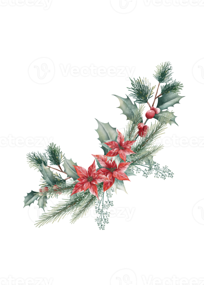 vattenfärg jul bukett png