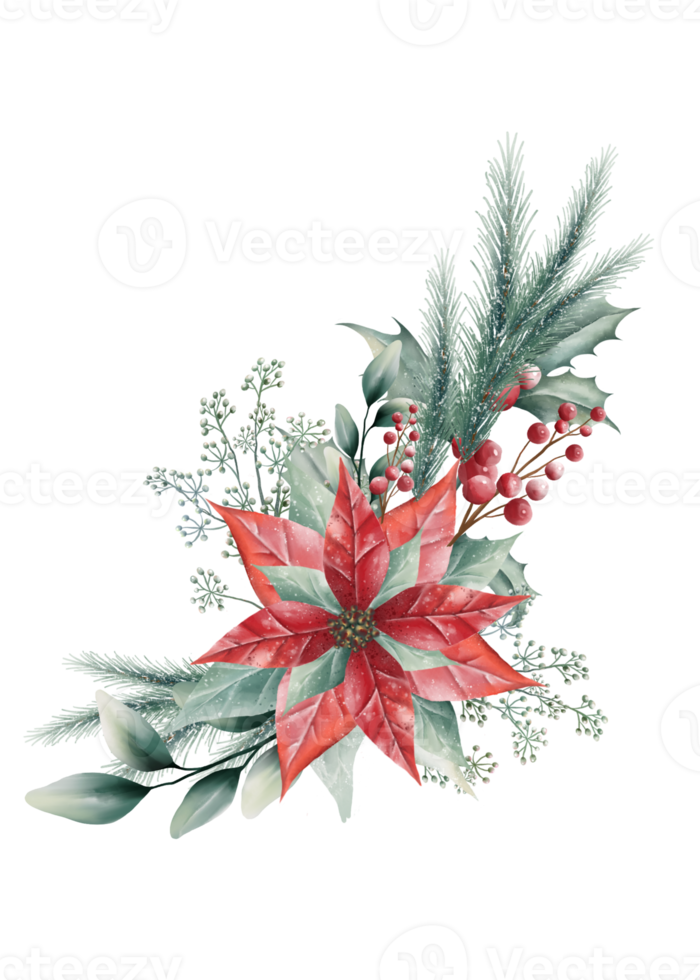 Watercolor Christmas bouquet png