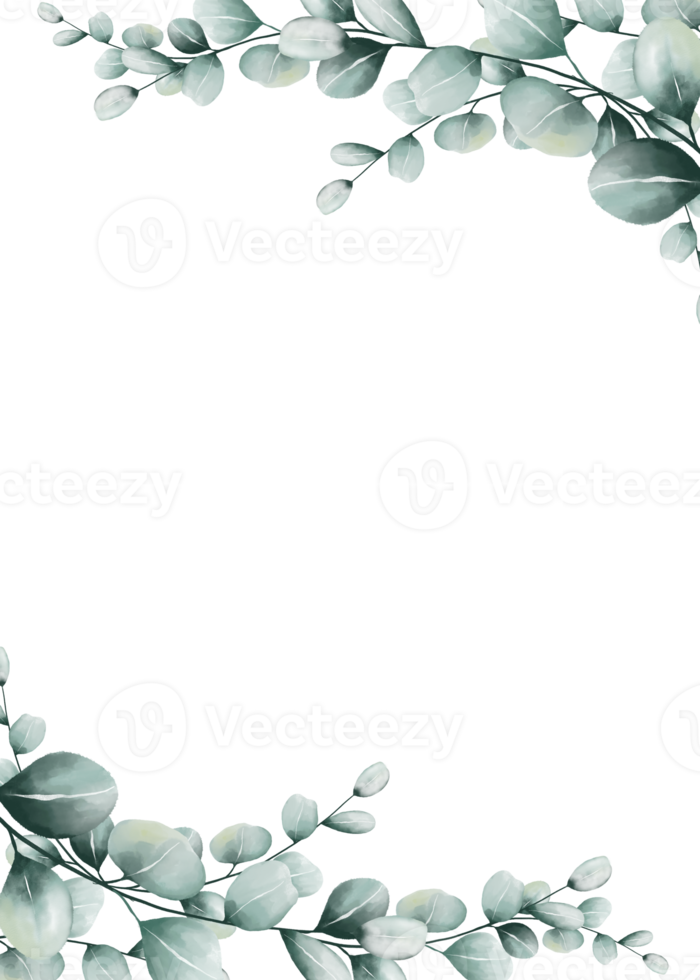 acuarela de hojas de eucalipto enmarcadas png