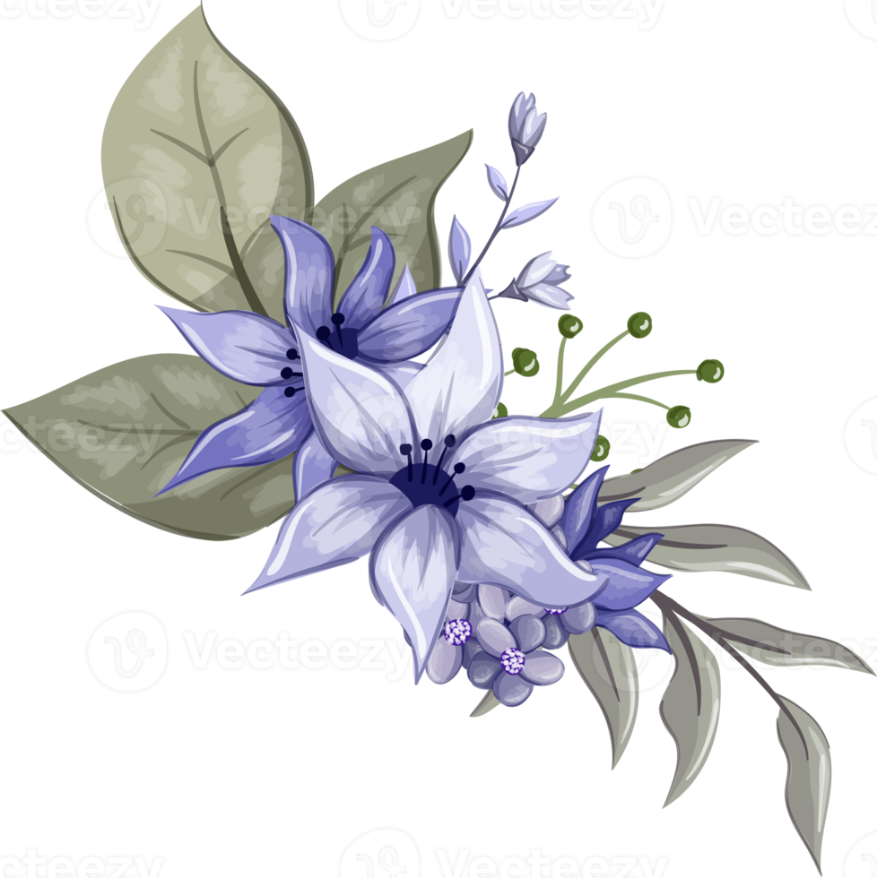 viola floreale mazzo con acquerello png