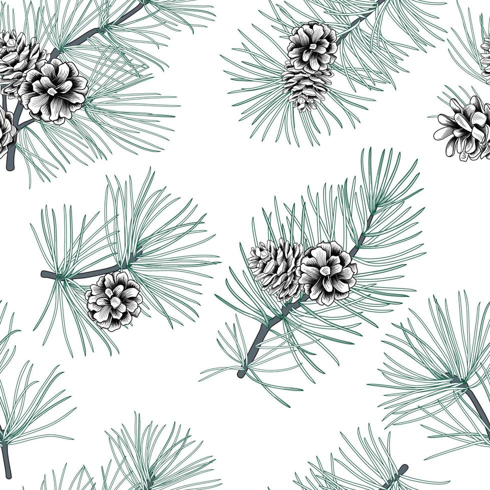 Winter forest seamless pattern with pine branches and cones. Evergreen floral christmas vector illustration. Engraving hand-drawn nature background.